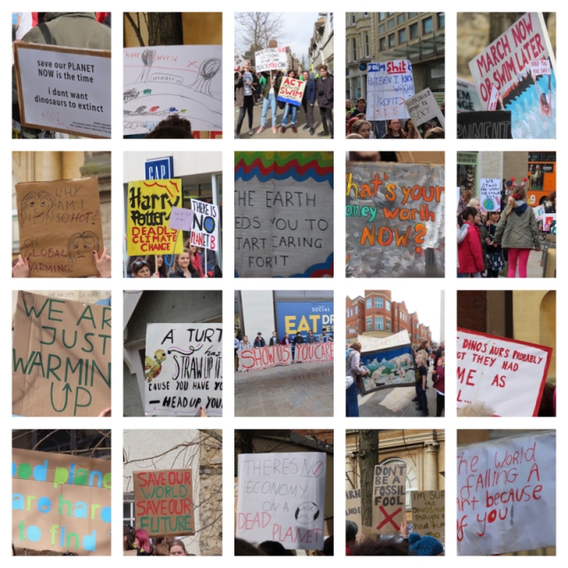 Climate strike 2019 collage